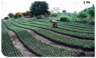 北票市聲測(cè)管報(bào)價(jià) 廠家